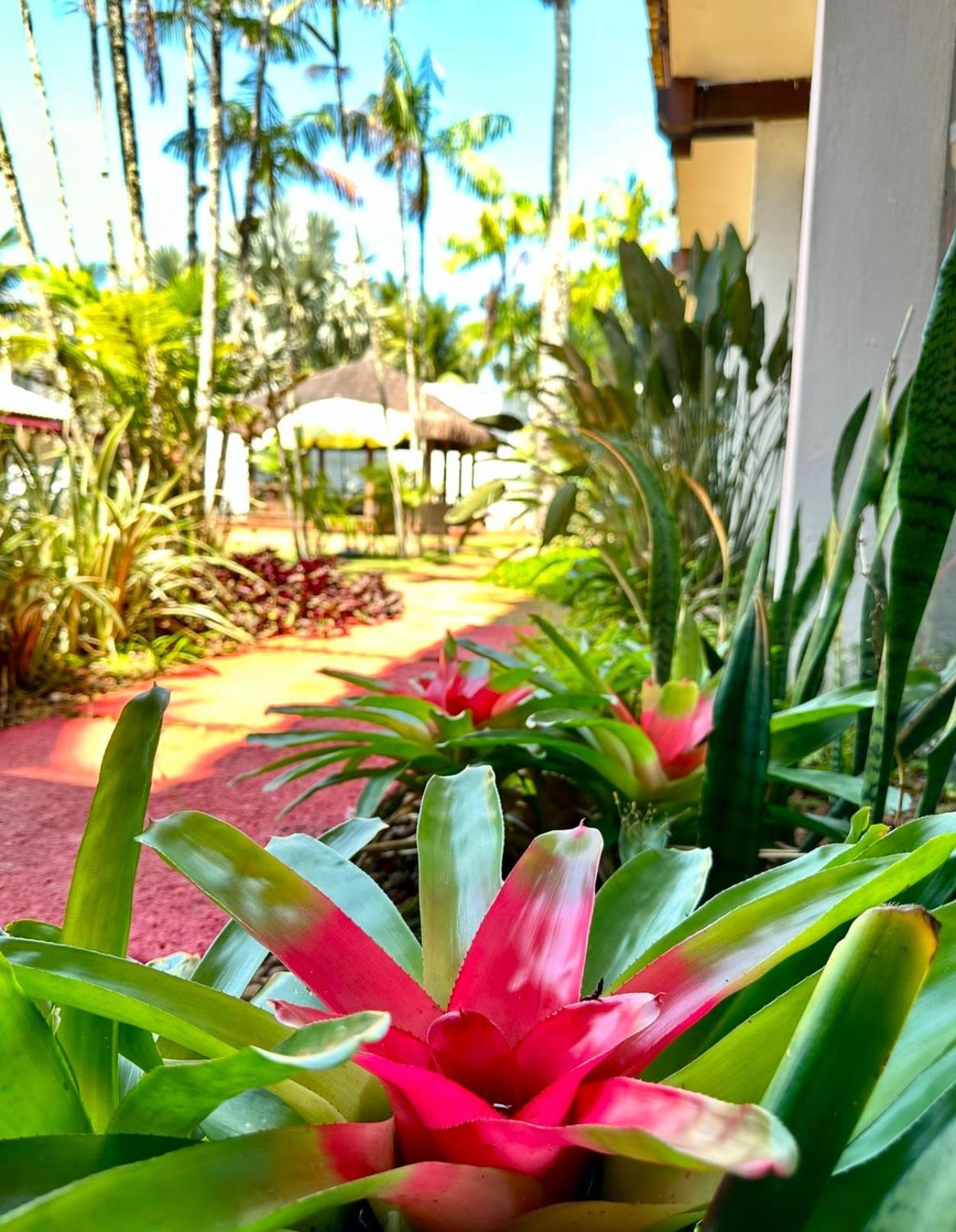 Hotel Casa Paradiso Guarujá Eksteriør billede